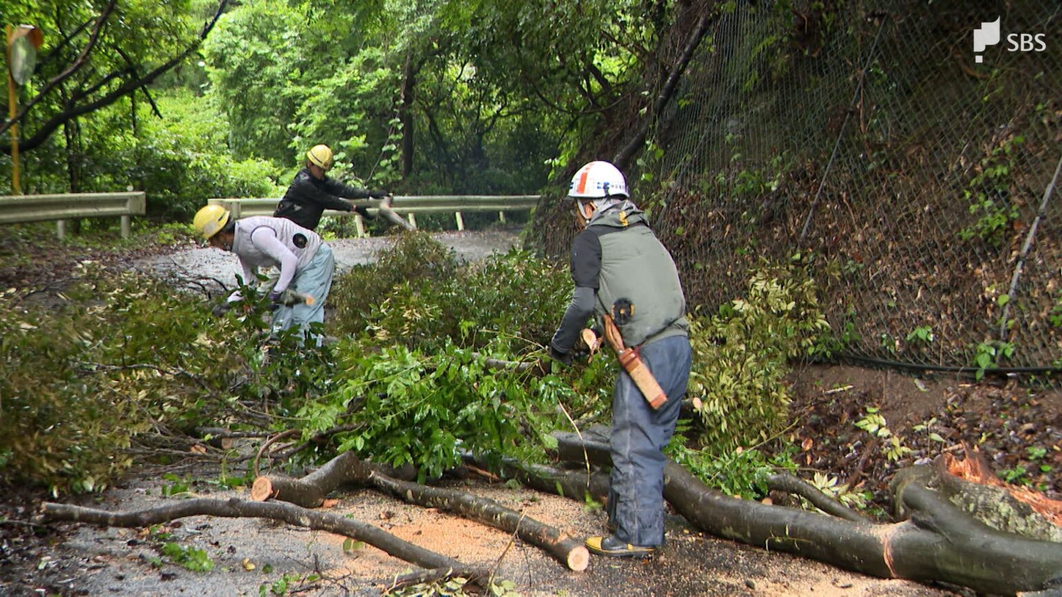各地で大雨続く 静岡市では倒木が道路ふさぎ一時通行止め 引き続き土砂災害などに注意必要=静岡（静岡放送（SBS）） - Yahoo!ニュース - Yahoo!ニュース
