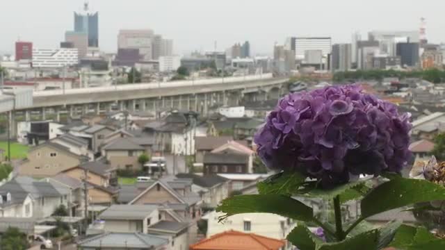 17日は富山市や高岡市で気温30度超え 蒸し暑い一日に 18日は晴れ間が戻り35度超える猛暑日の予想（富山テレビ） - Yahoo!ニュース - Yahoo!ニュース
