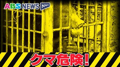 秋田市の旭川沿いでクマの出没相次ぐ 体長は約1メートル 17日午後には乗用車と衝突も 警察が注意を呼びかけ（ABS秋田放送） - Yahoo!ニュース - Yahoo!ニュース