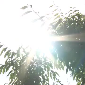 【注意】香川県に２０２５年で２回目の食中毒警報 ７月２４日まで ヘルパンギーナ流行警報も発令【香川】（OHK岡山放送） - Yahoo!ニュース - Yahoo!ニュース