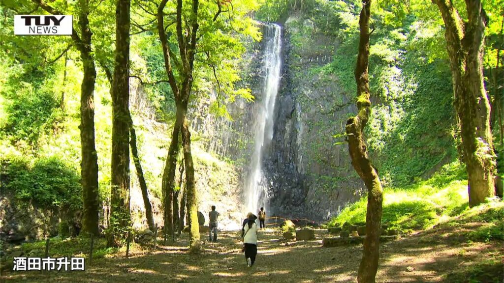 山形は37度超えで全国一の暑さ!猛暑の中、涼を求めて「玉簾の滝」にぎわう（山形・酒田市）（テレビユー山形） - Yahoo!ニュース - Yahoo!ニュース