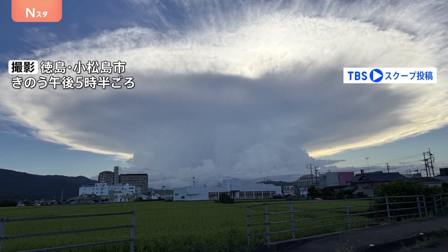 まるでラピュタ？ 四国に“ナゾの超巨大雲”出現 「規格外のものを見た」 宇宙からも確認！ 世にも珍しい雲の正体は？（TBS NEWS DIG Powered by JNN）