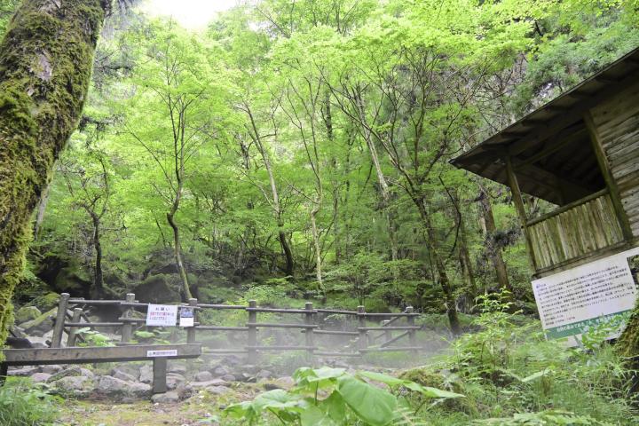 「大暑」の22日、愛媛県内各地で真夏日 東温の風穴に涼求める人々（愛媛新聞ONLINE） - Yahoo!ニュース - Yahoo!ニュース