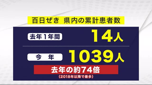 「リンゴ病」4地域で警報レベル 「百日ぜき」2025年累計患者数1000人超え 岩手県（岩手めんこいテレビ） - Yahoo!ニュース - Yahoo!ニュース
