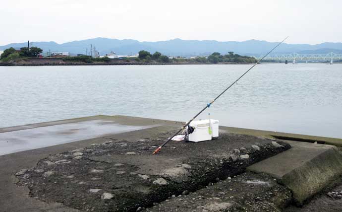 釣具屋主催のキスダービーに参戦！【和歌山】23cmと22cmを釣りあげて2位入賞