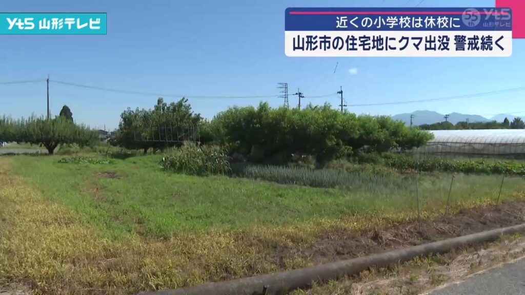 【山形】山形市の住宅街でクマの出没相次ぐ 警察や市が警戒（YTS山形テレビ） - Yahoo!ニュース