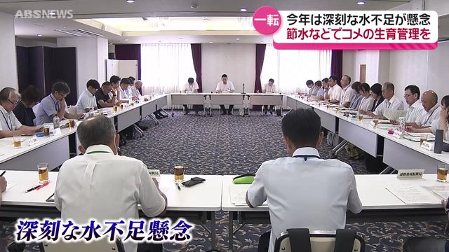 田んぼに亀裂…葉先枯れ… 日照りや渇水による農作物への被害 深刻な水不足の可能性も 対策会議で意見交わす 秋田（ABS秋田放送） - Yahoo!ニュース - Yahoo!ニュース
