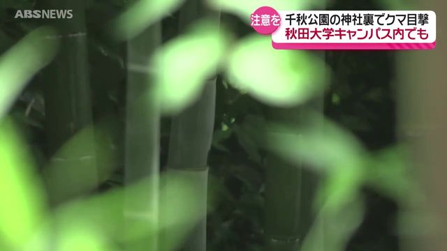 連日相次ぐクマの目撃 秋田市中心部の千秋公園や秋田大学でも 最高レベルの注意と対策の徹底を呼びかけ 秋田県（ABS秋田放送） - Yahoo!ニュース - Yahoo!ニュース