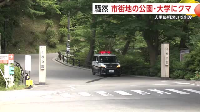 秋田市中心部の千秋公園や秋田大学にクマ出没 住民や学生らが不安募らせる 周辺地域に注意呼びかけ（秋田テレビ） - Yahoo!ニュース - Yahoo!ニュース