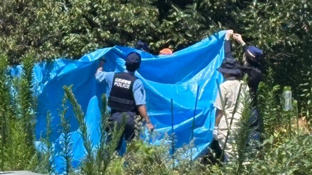 山形市に出没のクマを駆除、搬出 ブルーシートで囲み運び出す 県道の通行止めは解除（テレビユー山形） - Yahoo!ニュース - Yahoo!ニュース