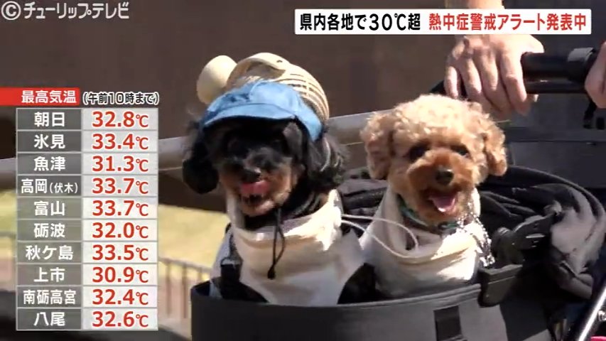 熱中症警戒アラート発表中 すべての観測地点で30℃超え 富山（チューリップテレビ） - Yahoo!ニュース