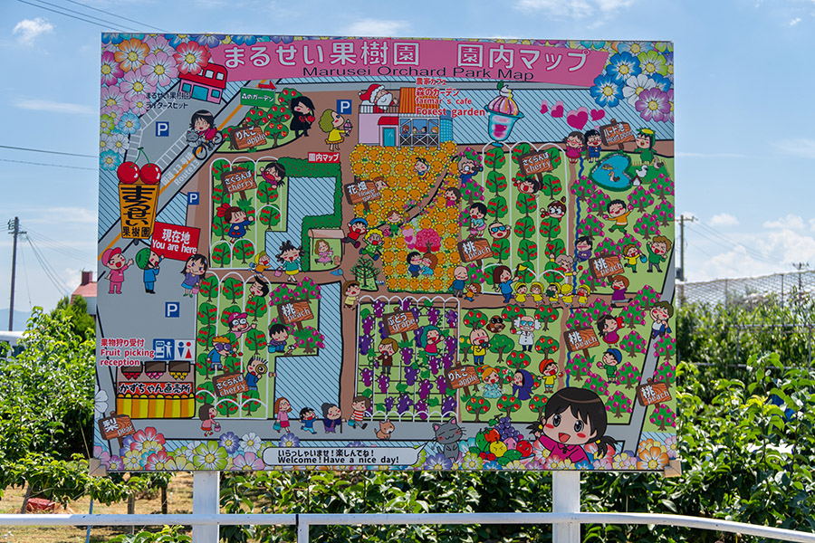 まるせい果樹園マップ