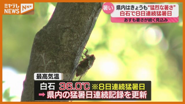宮城県内の『猛暑日』連続記録を更新、白石で8日連続『猛暑日』（ミヤギテレビ） - Yahoo!ニュース - Yahoo!ニュース
