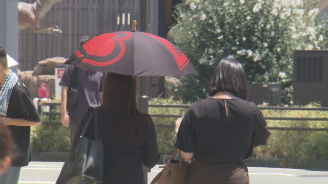 福井市で7月の猛暑日が17日に 1942年に並ぶ“過去最多タイ” 県内5地点で35度超え 熱中症疑いで5人搬送（福井テレビ） - Yahoo!ニュース - Yahoo!ニュース