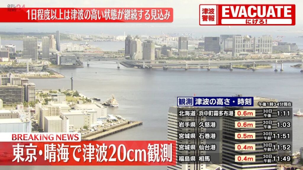 日本テレビ放送網