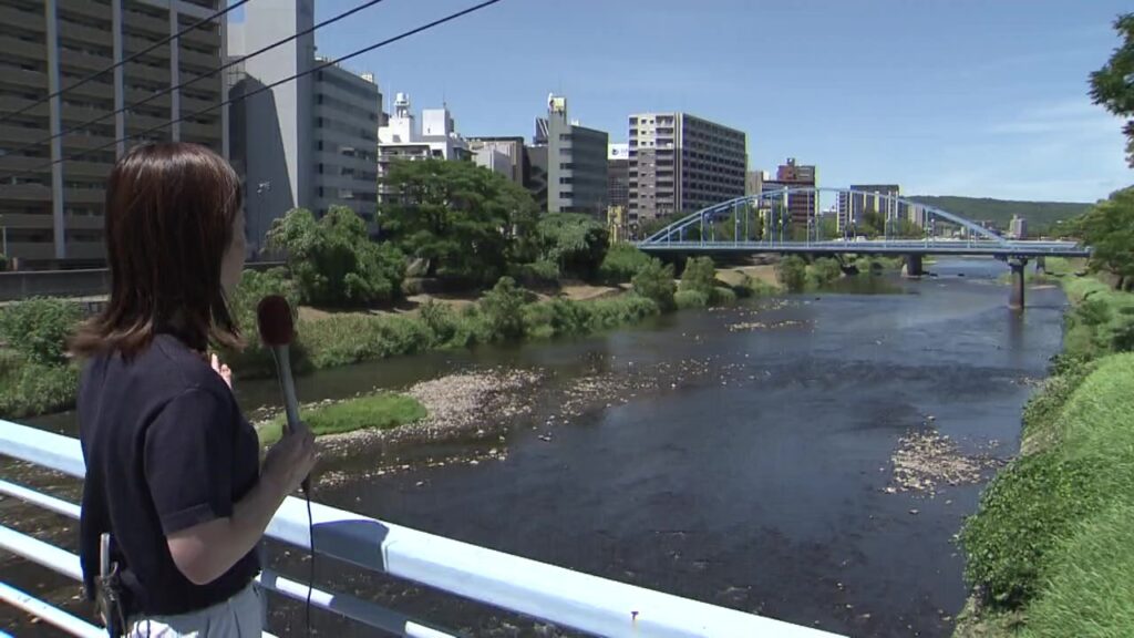 白川は川底があらわに…降水量は “平年の3割以下”　明日は熊本市39℃予想（RKK熊本放送） - Yahoo!ニュース