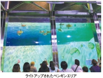 ライトアップされたペンギンエリア