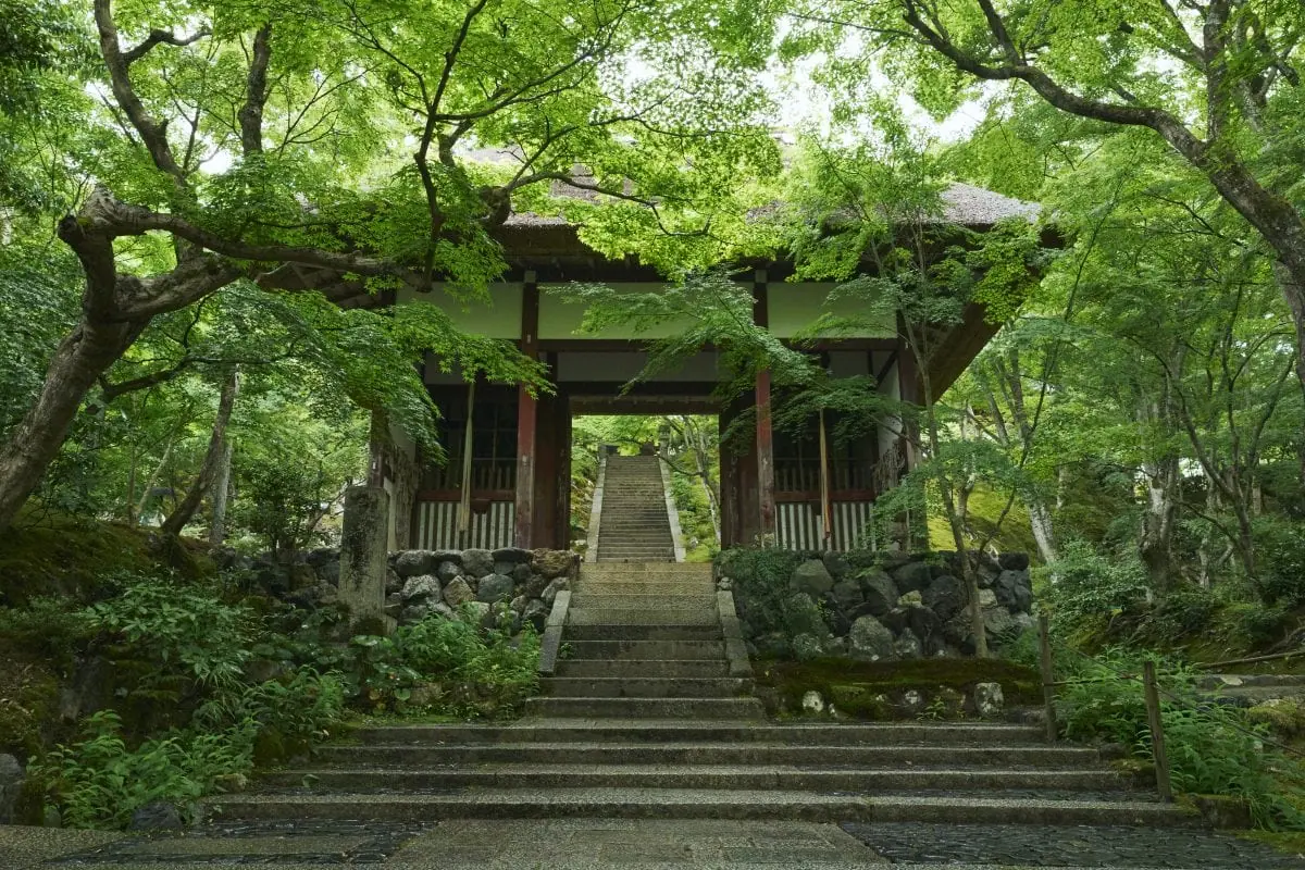 「そうだ 京都、行こう。」キャンペーン、常寂光寺
