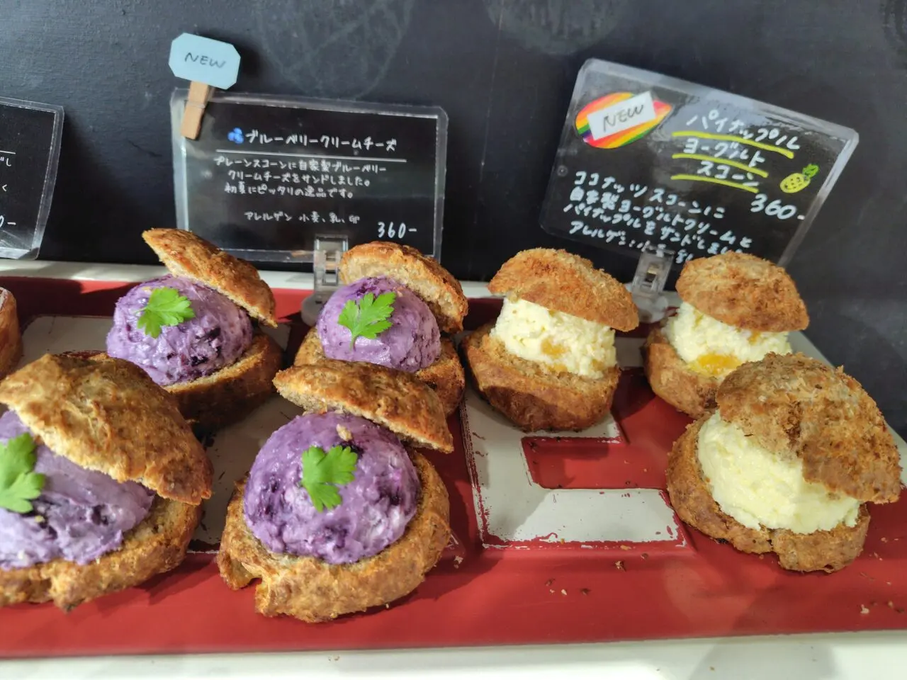 2025年流山セントラルパークLIFE