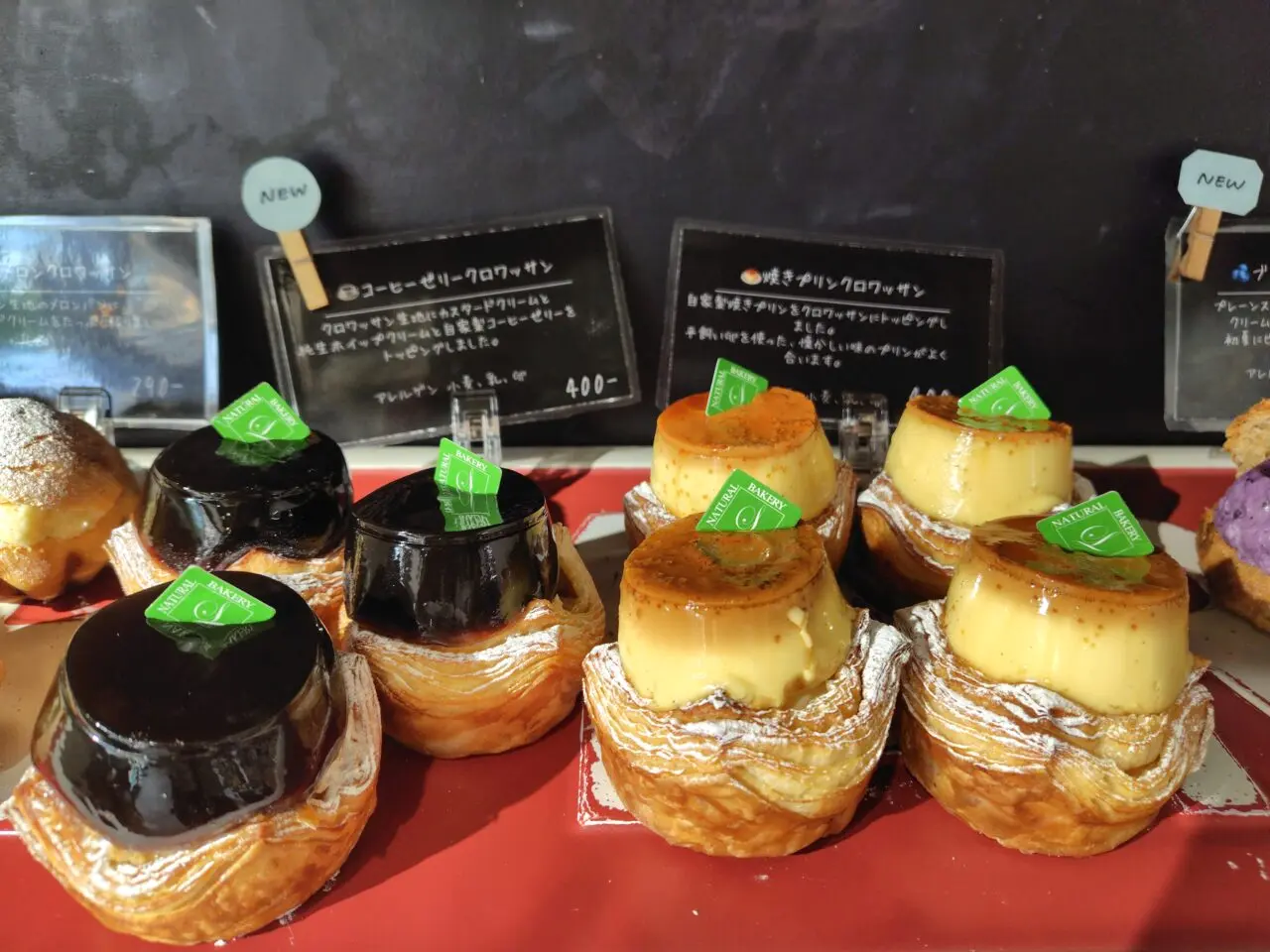 2025年流山セントラルパークLIFE