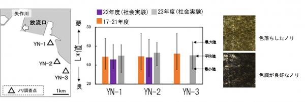 ノリの色調調査結果