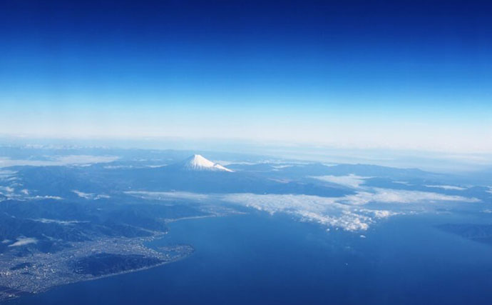 『サクラエビ』は黒潮によって台湾から駿河湾にやってくる？　遺伝的交流が明らかに