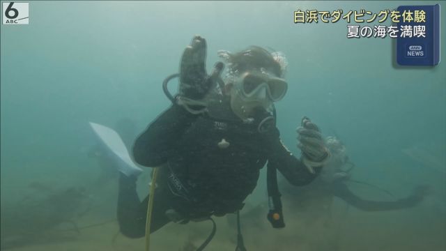 夏の海を満喫　ダイビングの体験イベント開催　和歌山・白浜町