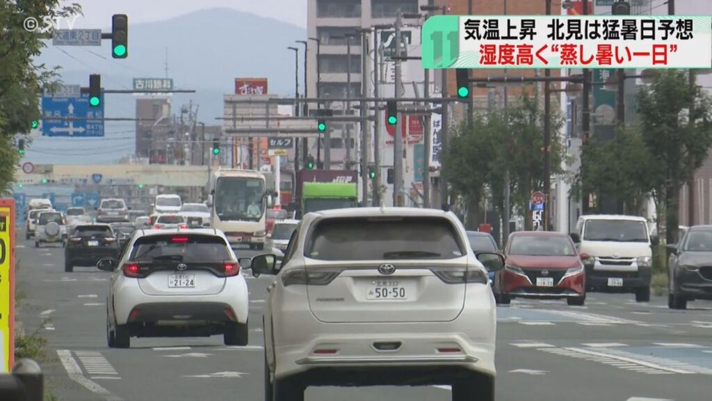 共有