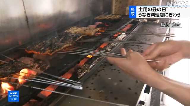 鳥取 倉吉 土用のうしの日 うなぎ料理店にぎわう｜NHK 鳥取県のニュース