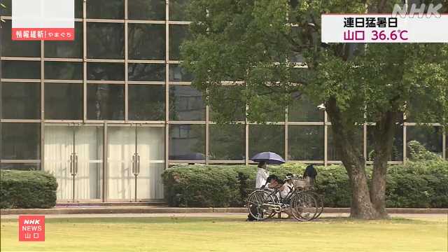 山口市で３６.６度 ３日も熱中症警戒アラート 対策の徹底を｜NHK 山口県のニュース