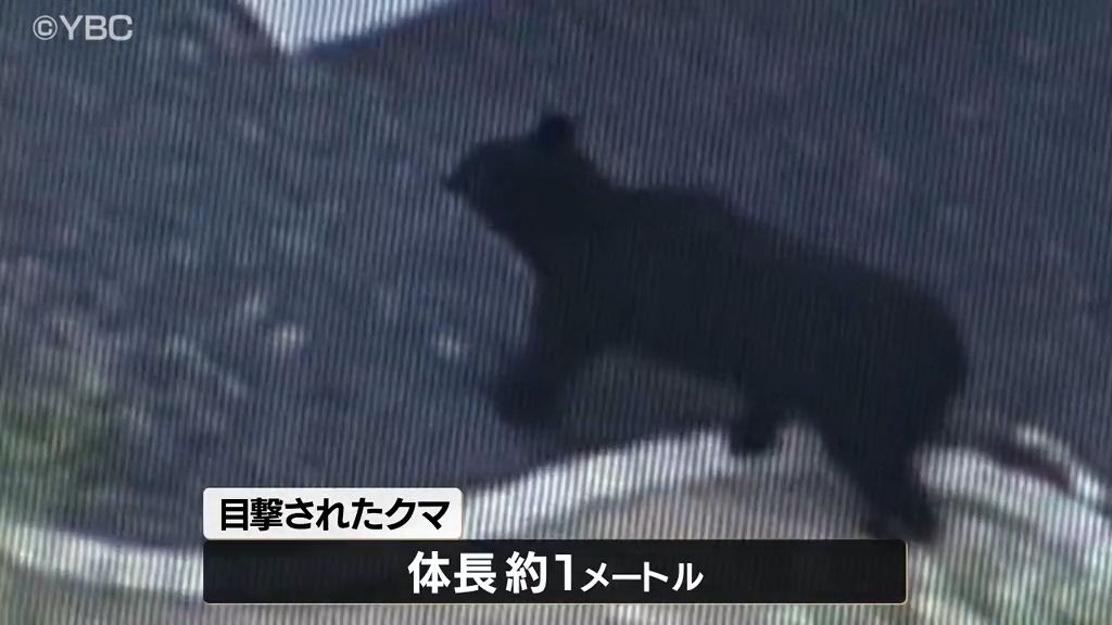 共有