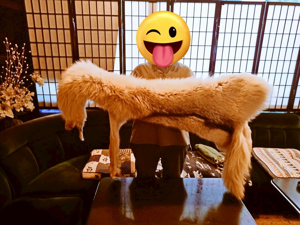 LINE_ALBUM_おぐにのマタギ_250713_44
