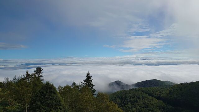 道の駅美ヶ原高原　雲海