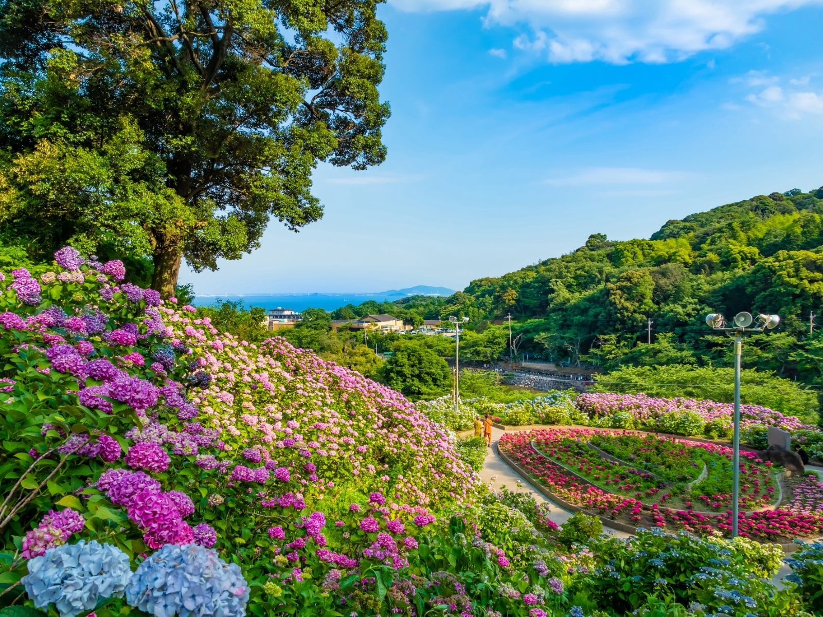 愛知県で行ってみたい＆好きなあじさいの名所ランキング