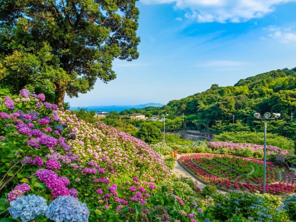 愛知県の「あじさいの名所」ランキング！ 2位「形原温泉あじさいの里」を抑えた1位は？ - All About ニュース