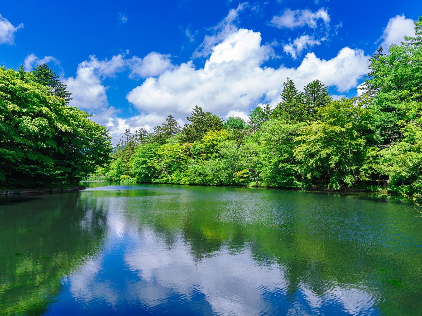 「新緑が美しいと思う都道府県」ランキング
