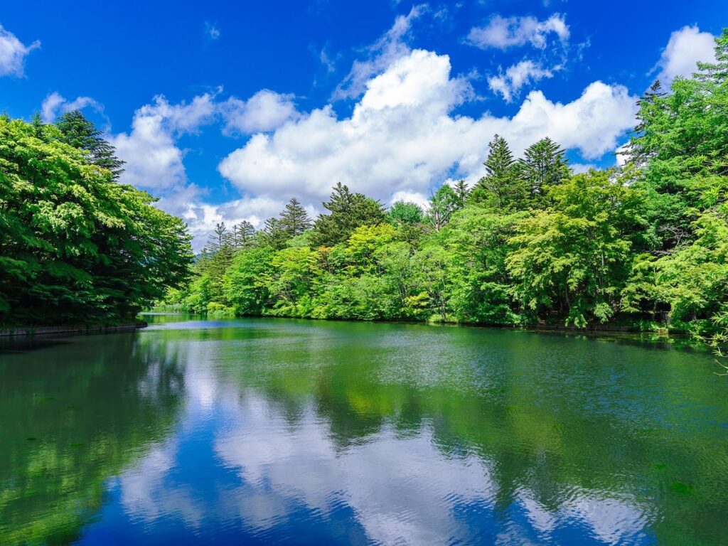 「新緑が美しいと思う都道府県」ランキング！ 2位「長野県」、1位は？ - All About ニュース