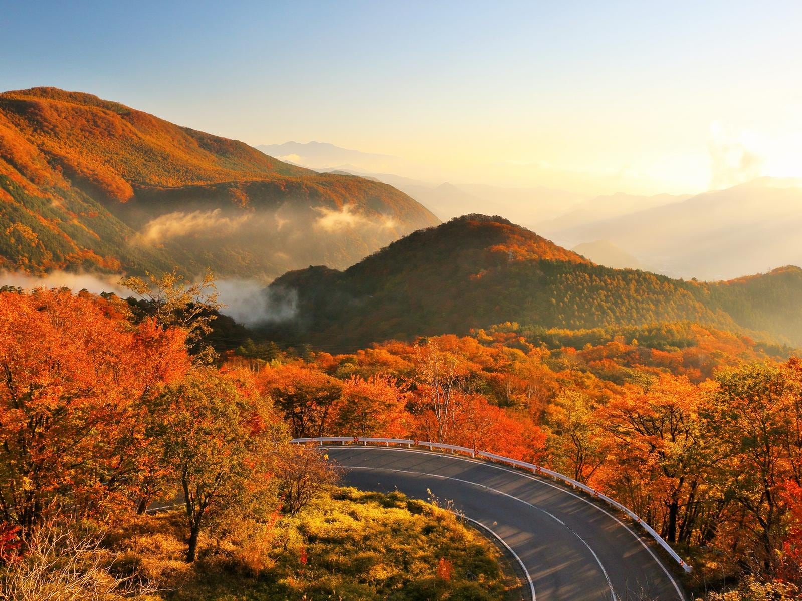 「紅葉が美しいと思う都道府県」ランキング