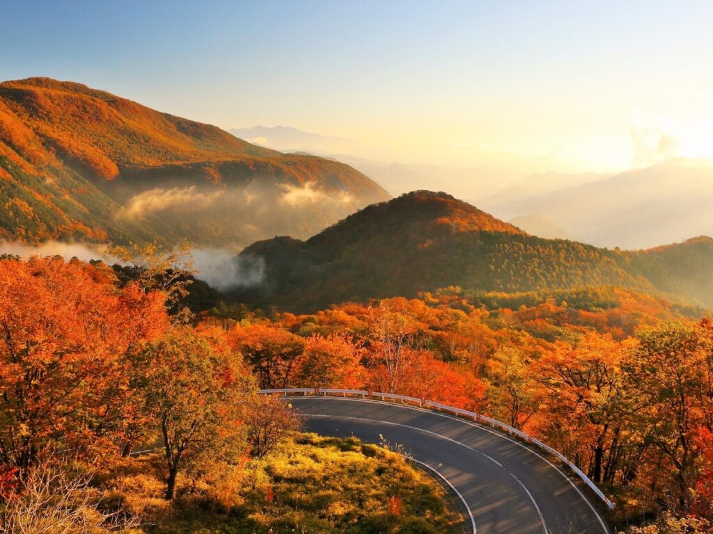 【2025年調査】「紅葉が美しいと思う都道府県」ランキング！ 2位「栃木県」、1位は？ - All About ニュース