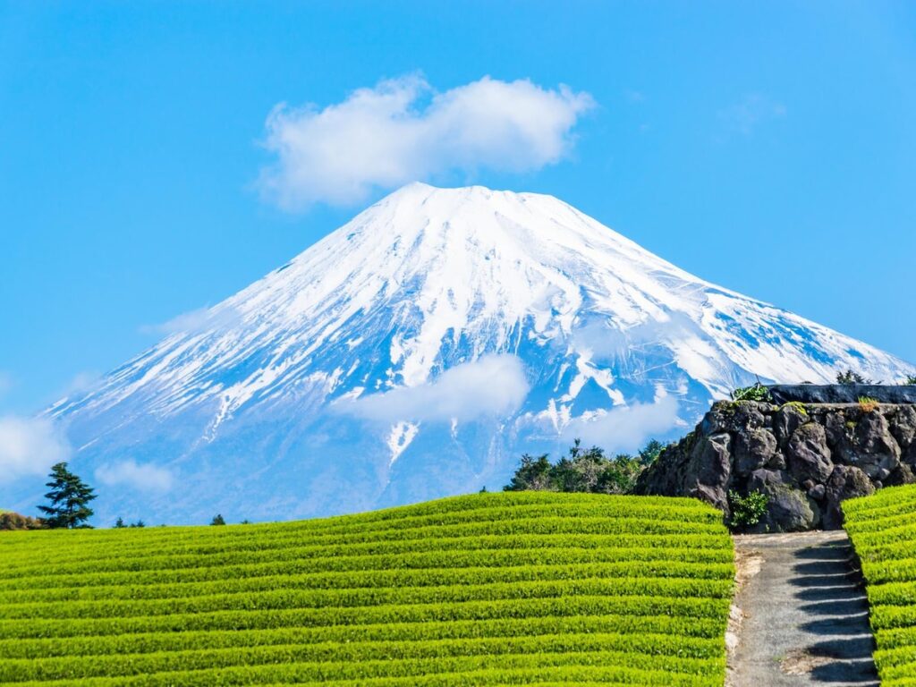 【2025年調査】「山の景色が美しいと思う都道府県」ランキング！ 富士山のある「静岡県」を抑えた1位は？ - All About ニュース