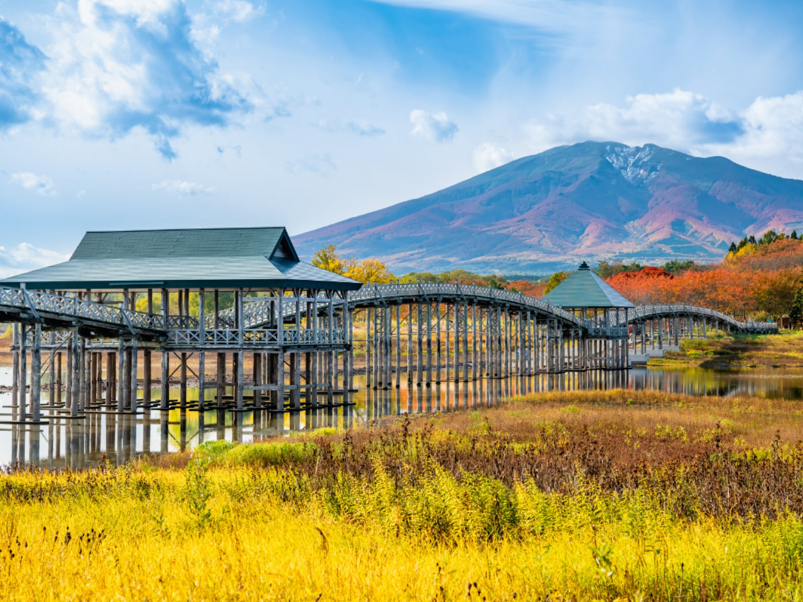 ナンバープレートで地元愛を感じる青森県の地名ランキング
