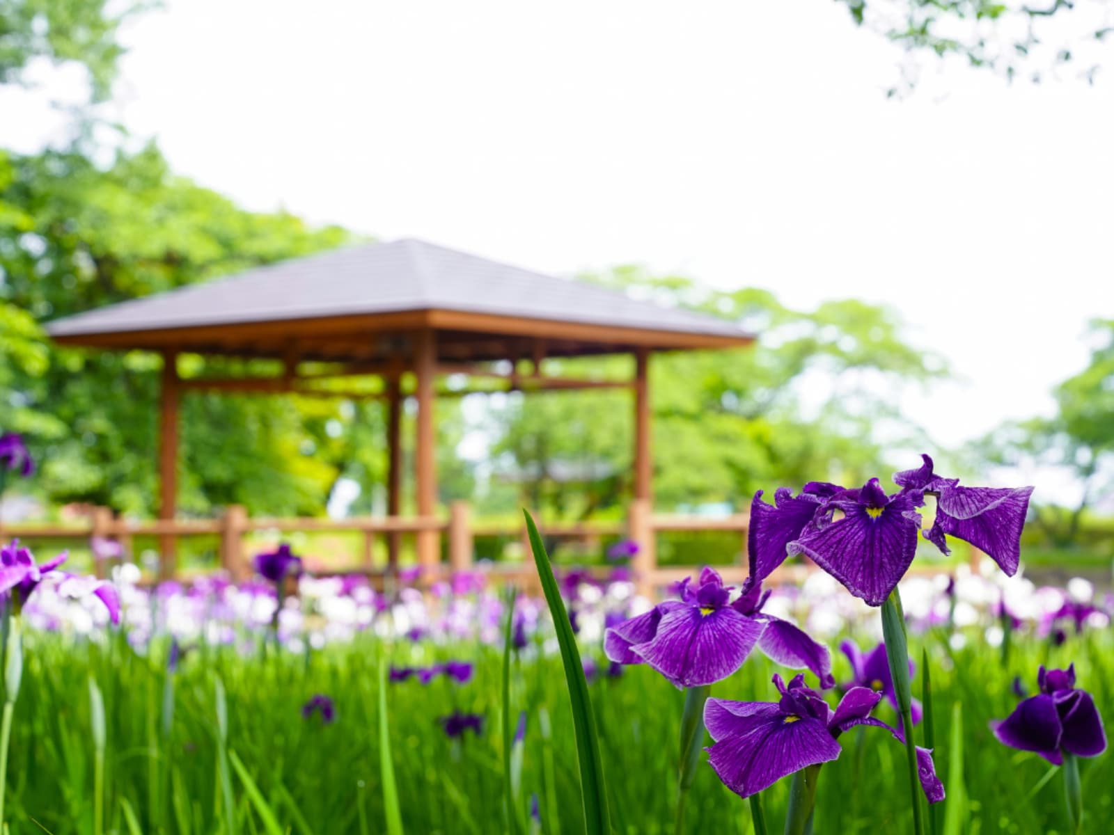 福島県民が選ぶ「街の住みここち（自治体）」ランキング