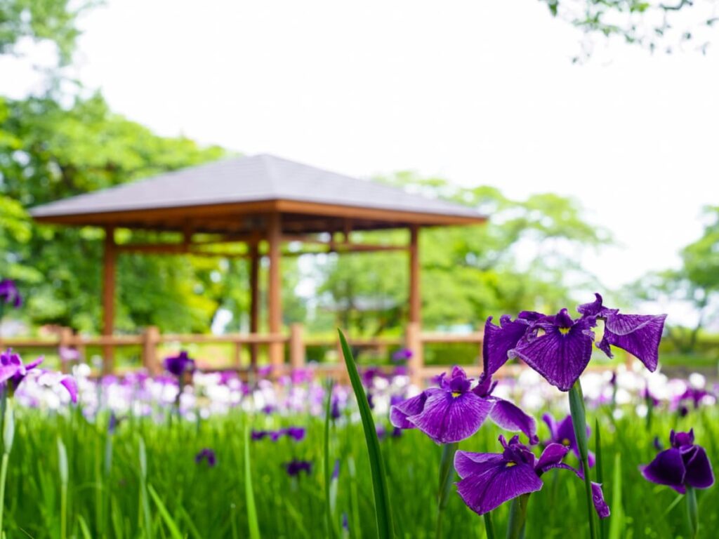 福島県民が選ぶ「街の住みここち（自治体）」ランキング！ 2位「岩瀬郡鏡石町」、1位は？ - All About ニュース