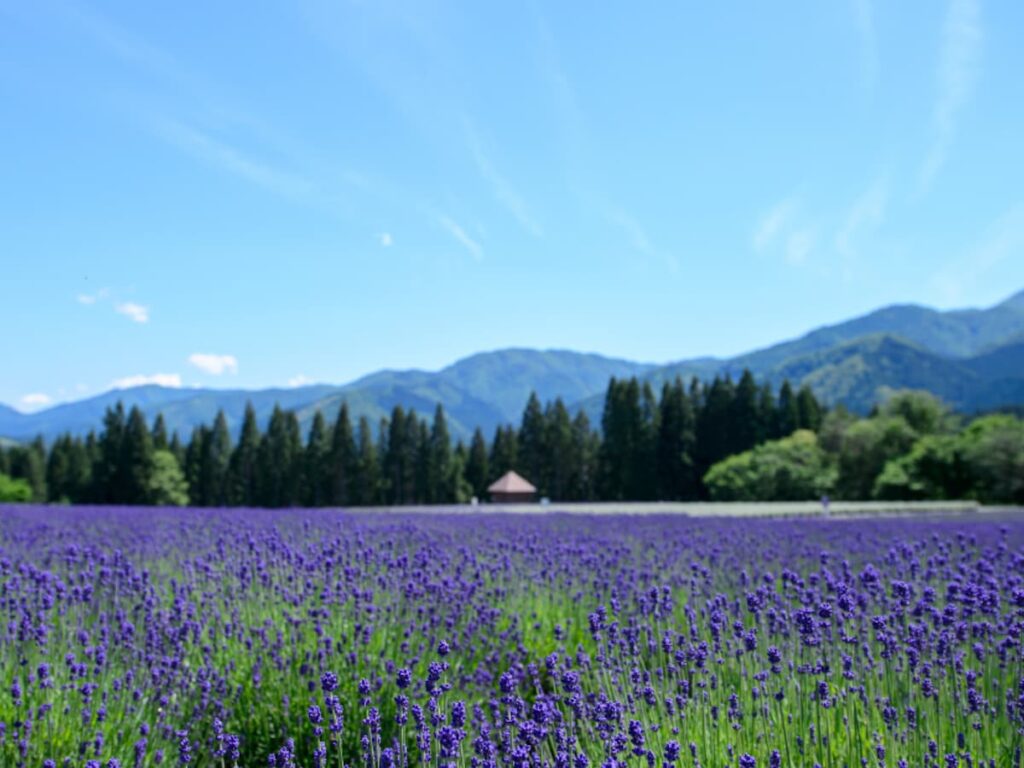 秋田県民が選んだ「街の住みここち（自治体）」ランキング！ 2位「仙北郡美郷町」、1位は？ - All About ニュース