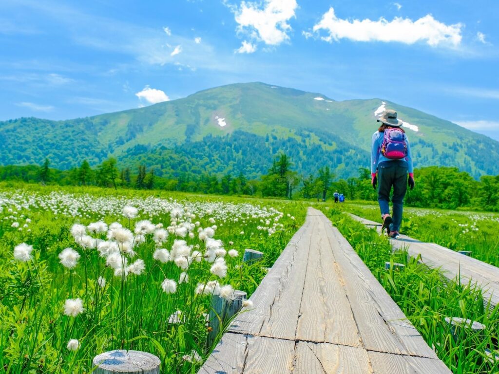 「夏に行きたい群馬県の避暑観光地」ランキング！2位「尾瀬ヶ原」、圧倒的1位は？【2025年調査】 - All About ニュース