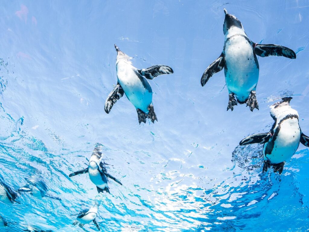 「夏に行きたい東京都の避暑観光地」ランキング！2位「サンシャイン水族館」、1位は？【2025年調査】 - All About ニュース