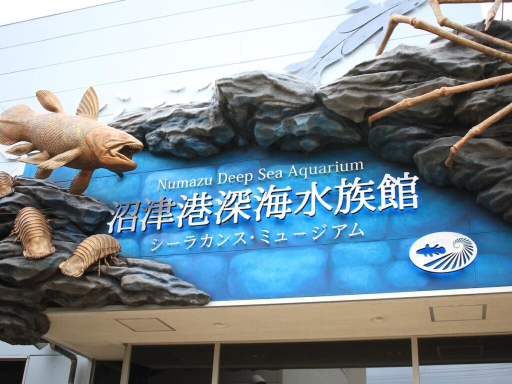 夏に行きたい「静岡県の避暑観光地」ランキング! 2位「沼津港深海水族館」、1位は?【2025年調査】 – All About ニュース 夏に行きたい「静岡県の避暑観光地」ランキング! 2位「沼津港深海水族館」、1位は?【2025年調査】 - All About ニュース