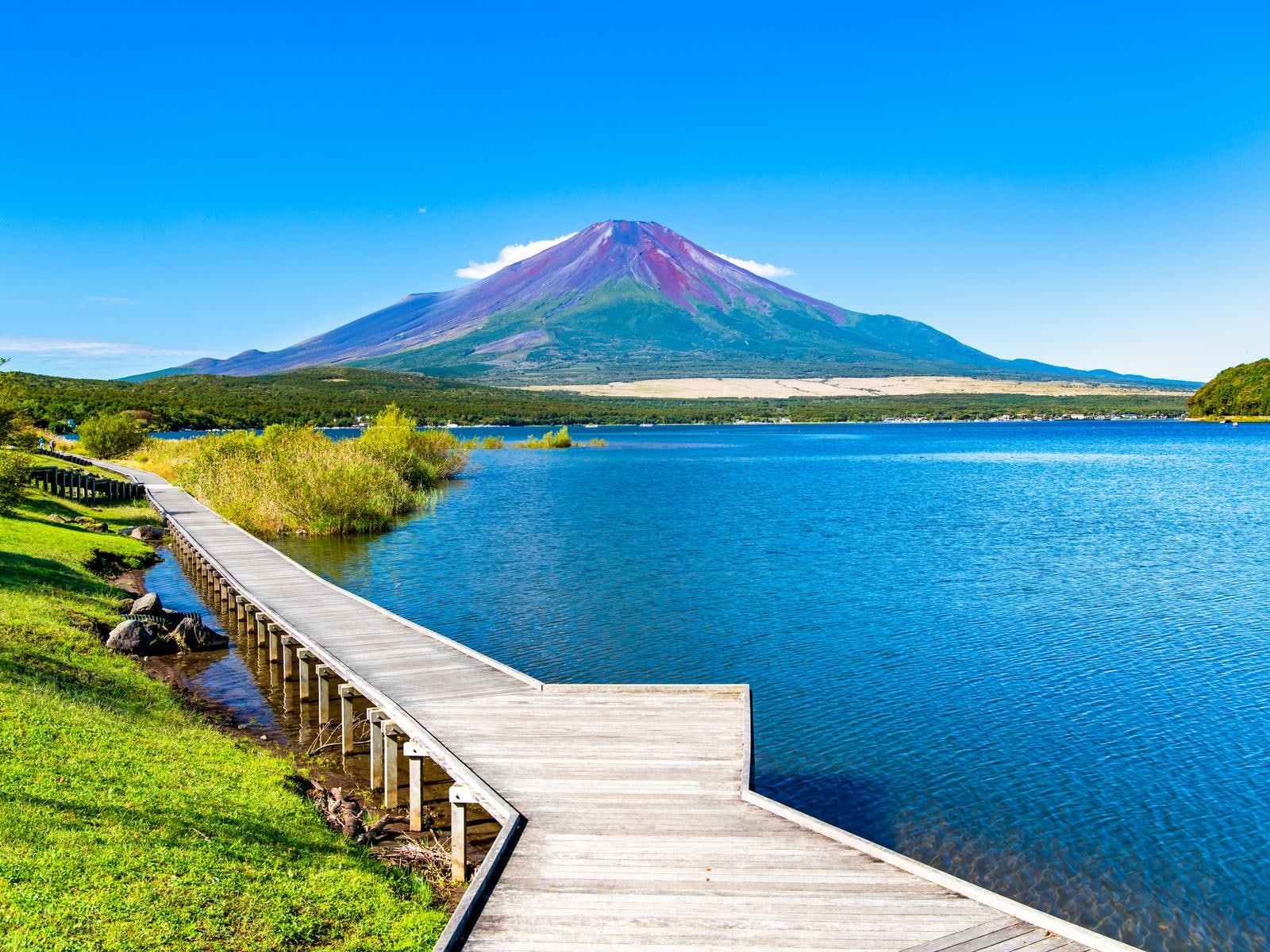 「山梨県の避暑観光地」ランキング