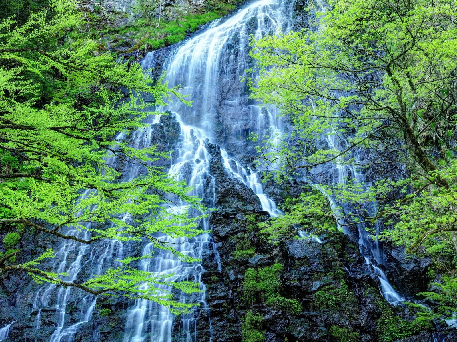 「福井県の避暑観光地」ランキング