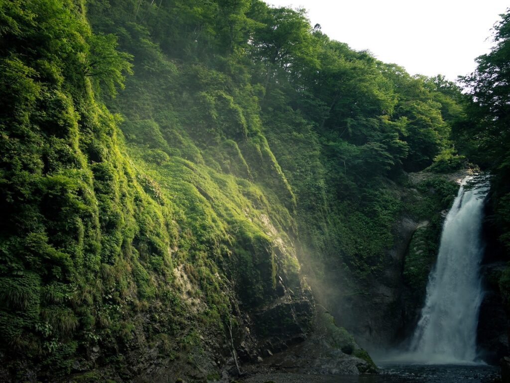 夏に行きたい「宮城県の避暑観光地」ランキング！ 2位「秋保大滝」、大人が喜ぶ1位は？【2025年調査】 - All About ニュース